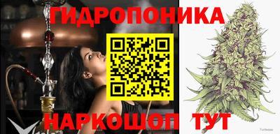 сатива Кандалакша
