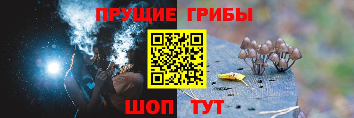 Южноуральск  Галлюциногенные грибы мицелий  Вход с VPN 